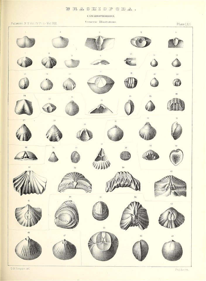 n584_w1150