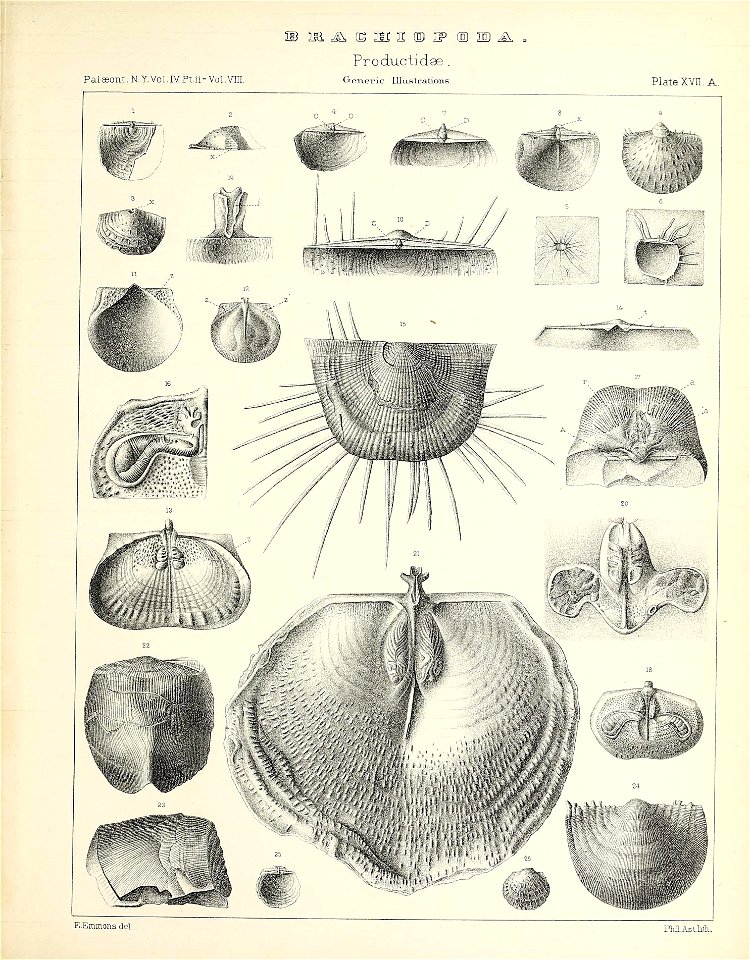 n566_w1150