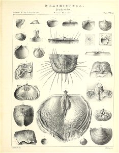 n566_w1150