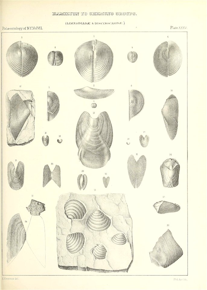 n534_w1150