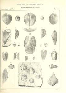 n534_w1150