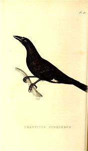 n89_w1150