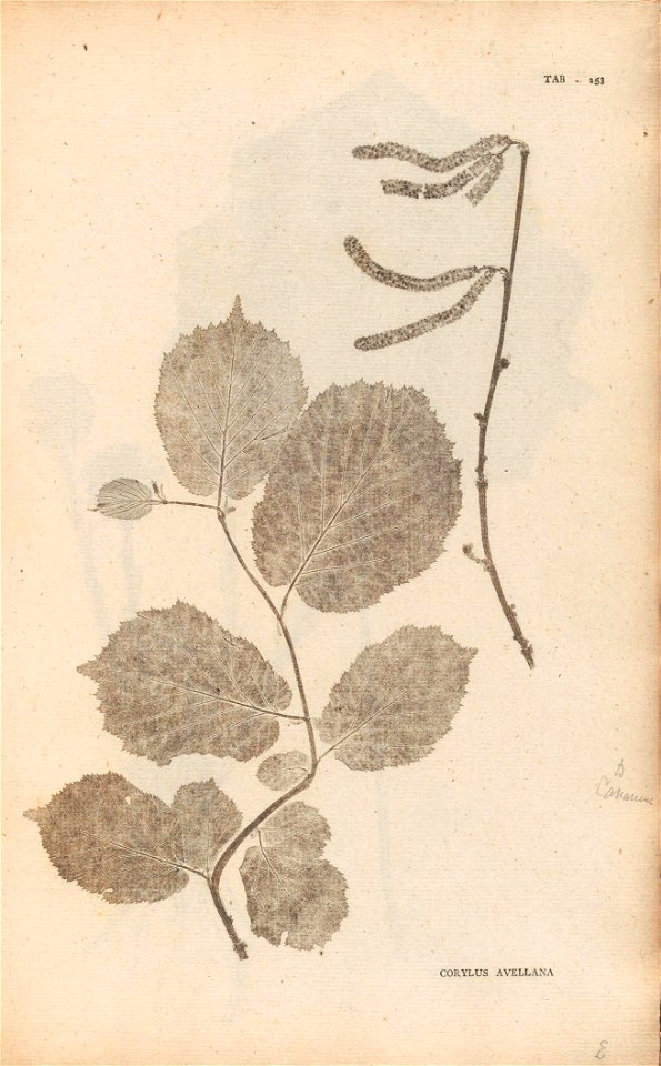 n116_w1150