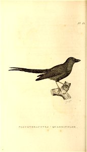 n121_w1150