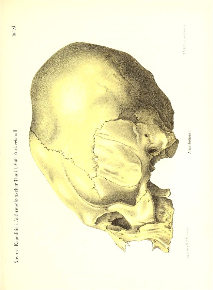 n162_w1150