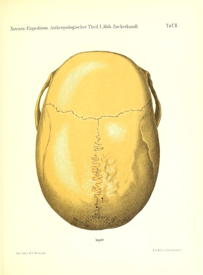 n144_w1150
