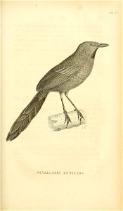 n638_w1150