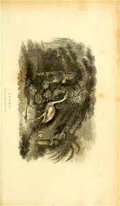 n454_w1150