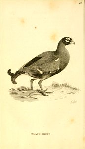 n47_w1150