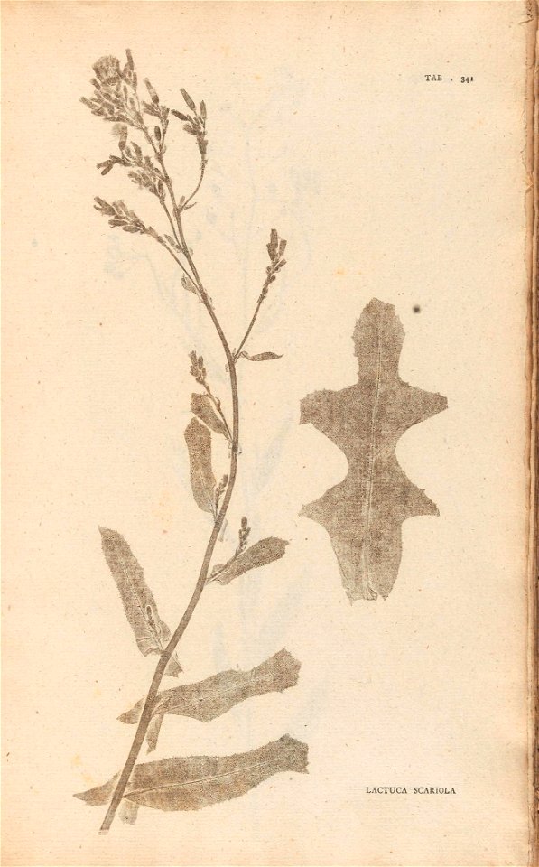 n302_w1150