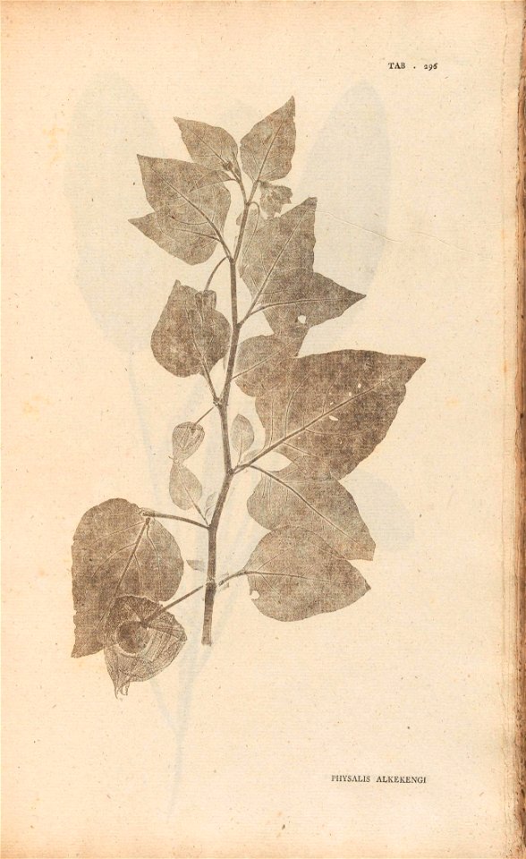 n202_w1150