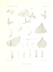 n278_w1150