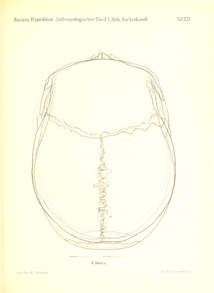 n182_w1150