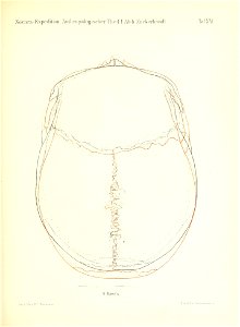 n182_w1150