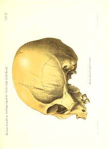 n158_w1150