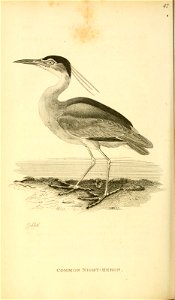 n441_w1150