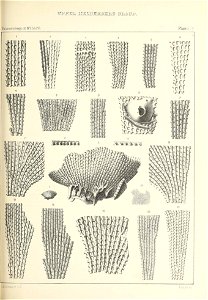 n512_w1150