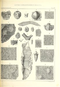 n392_w1150
