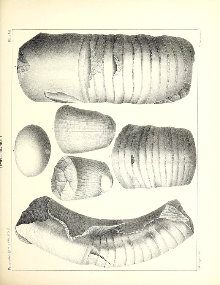 n266_w1150