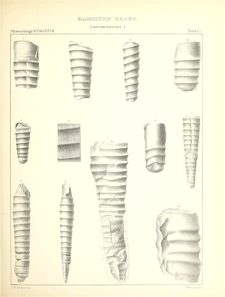 n206_w1150