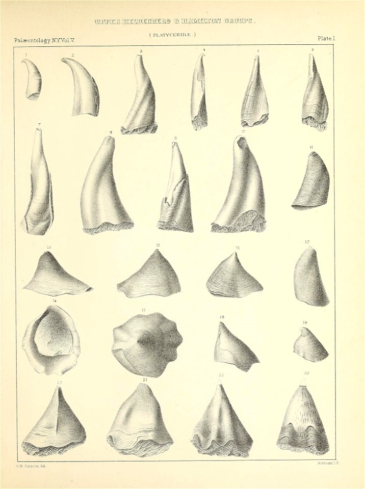 n12_w1150