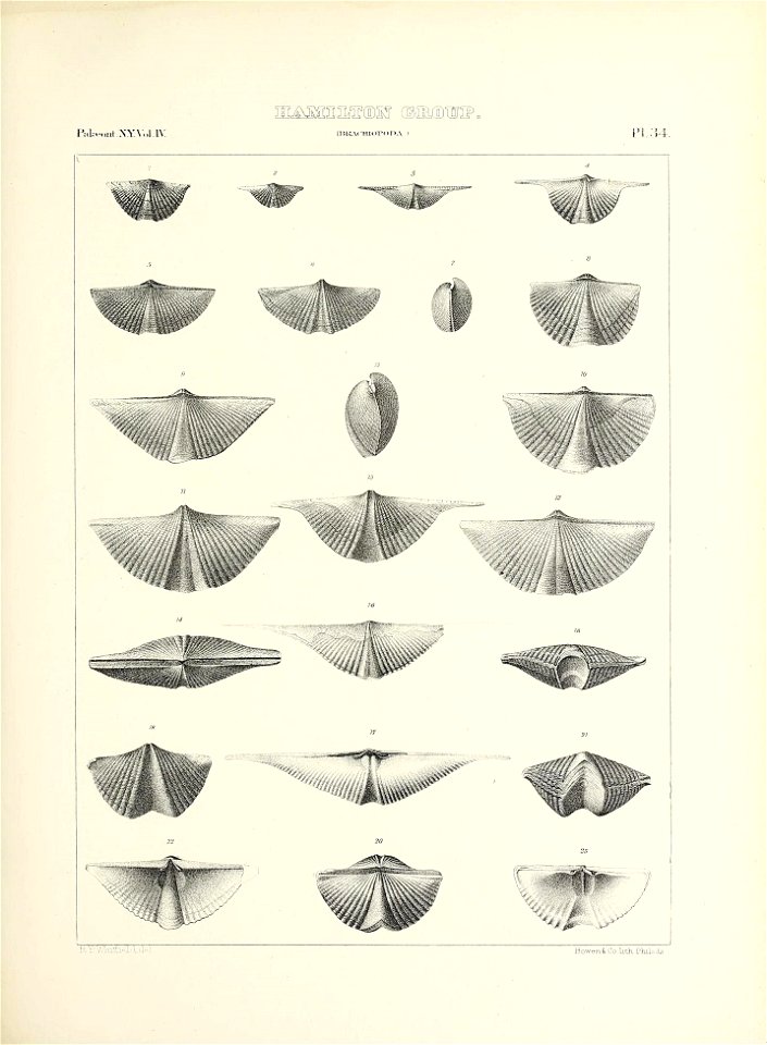 n584_w1150