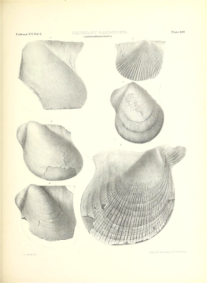 n530_w1150
