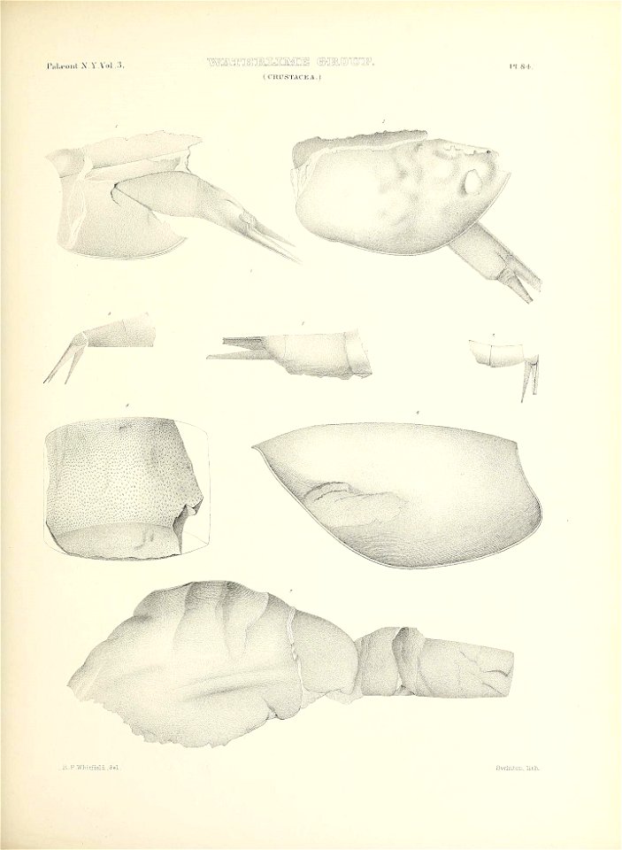 n410_w1150