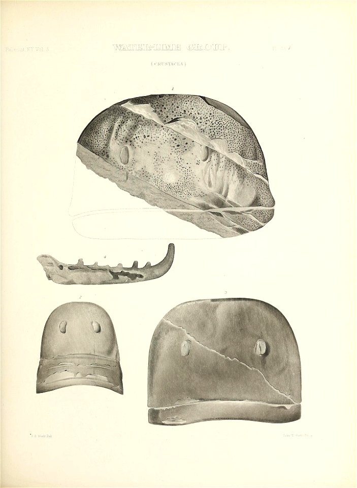 n406_w1150
