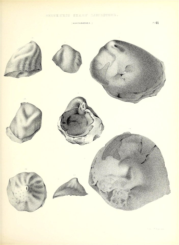 n286_w1150