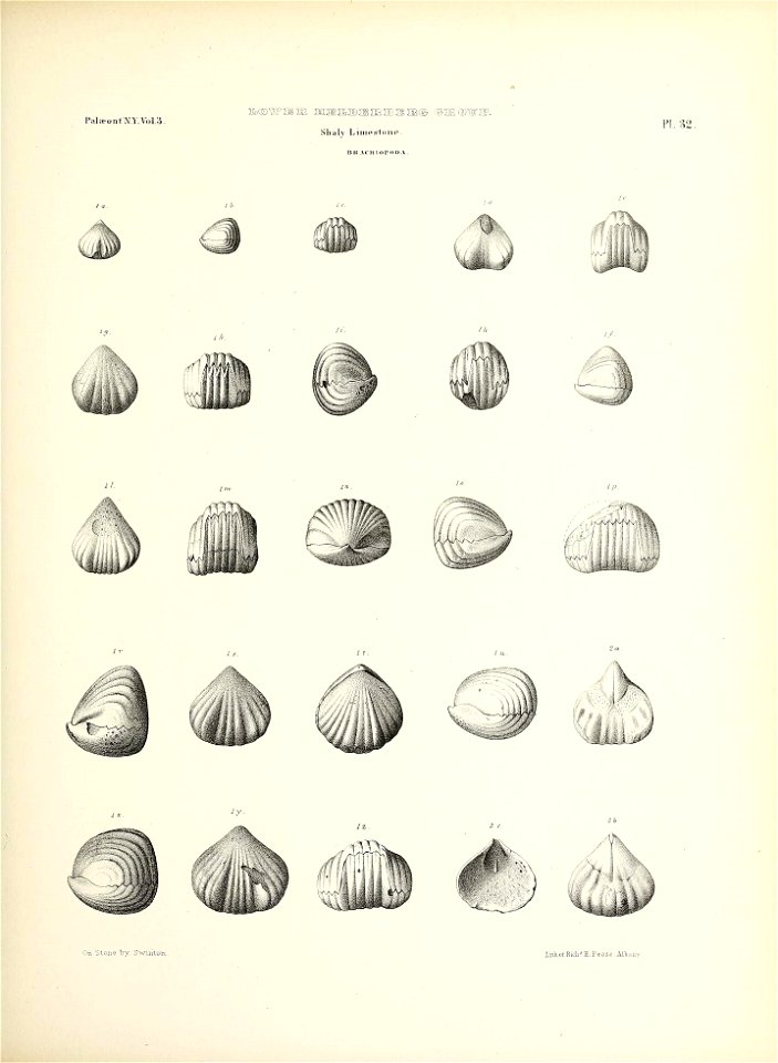 n166_w1150