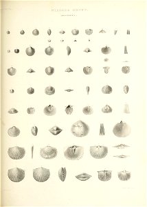 n660_w1150