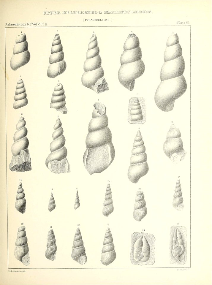 n62_w1150