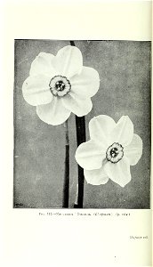 n903_w1150