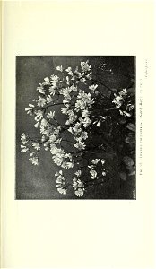 n864_w1150