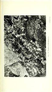 n318_w1150