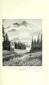 n54_w1150