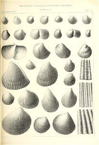 n518_w1150