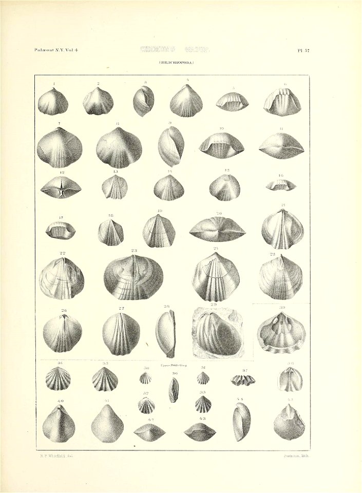 n692_w1150