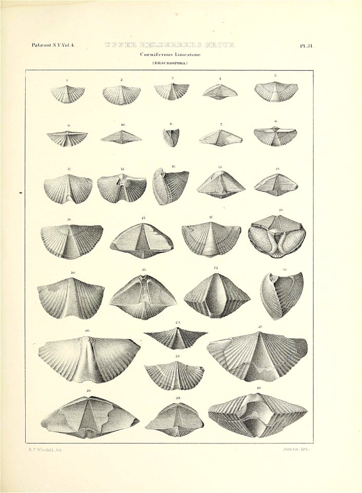 n572_w1150
