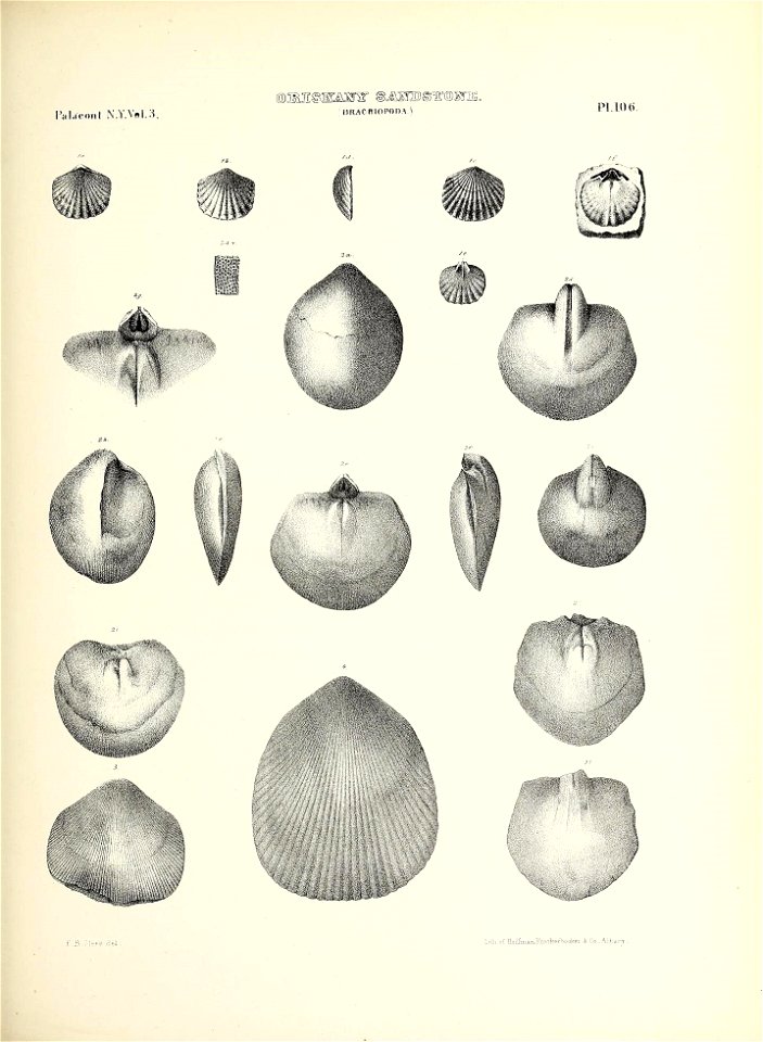 n518_w1150