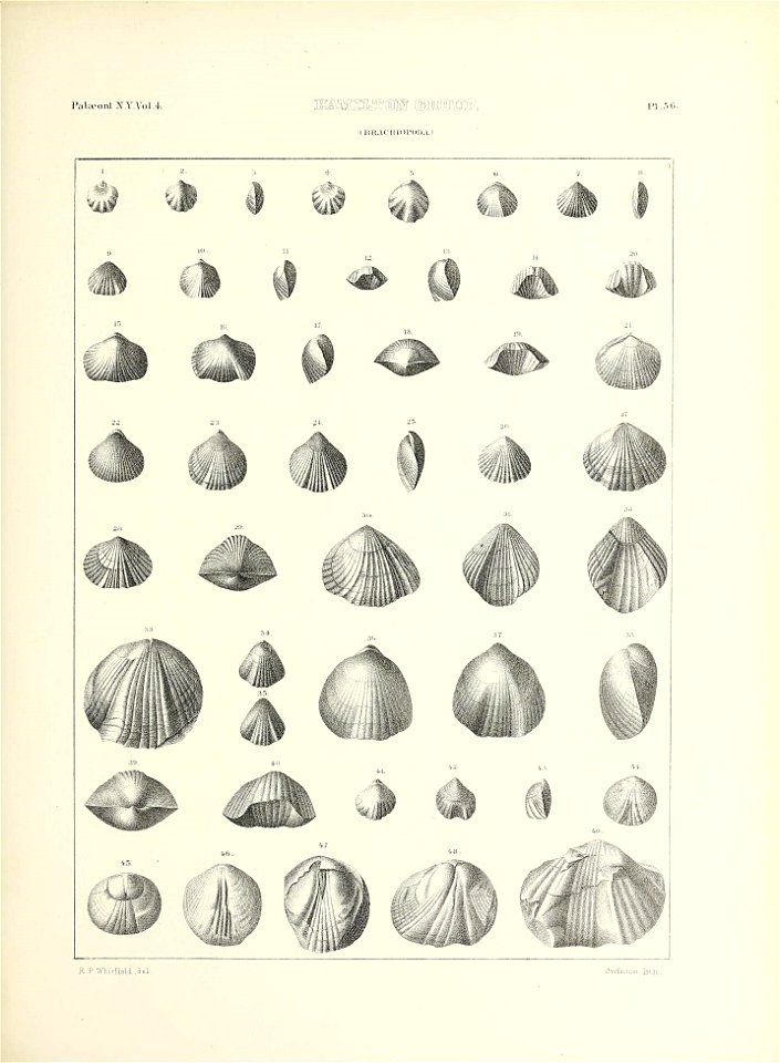 n688_w1150