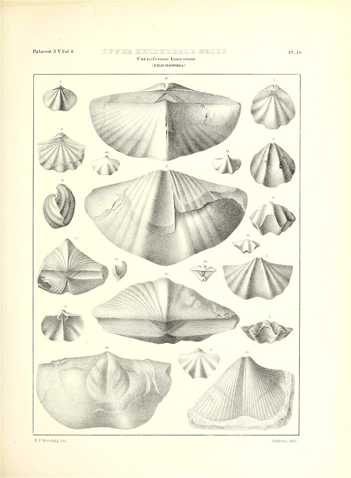n568_w1150