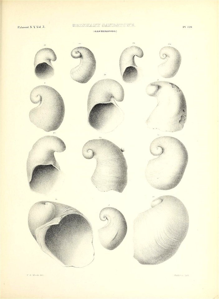 n574_w1150