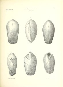 n514_w1150