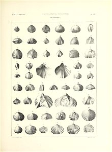 n684_w1150