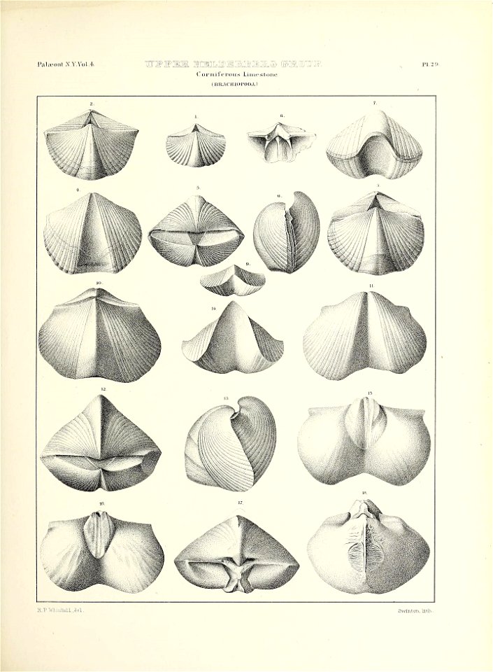 n564_w1150