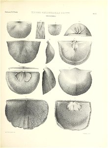 n504_w1150