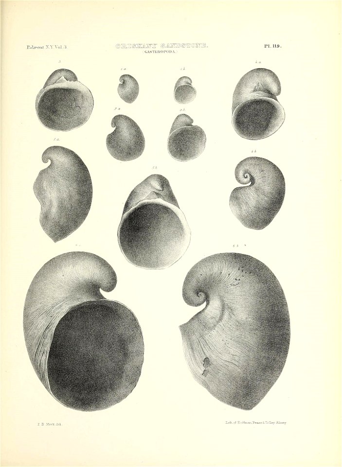 n570_w1150