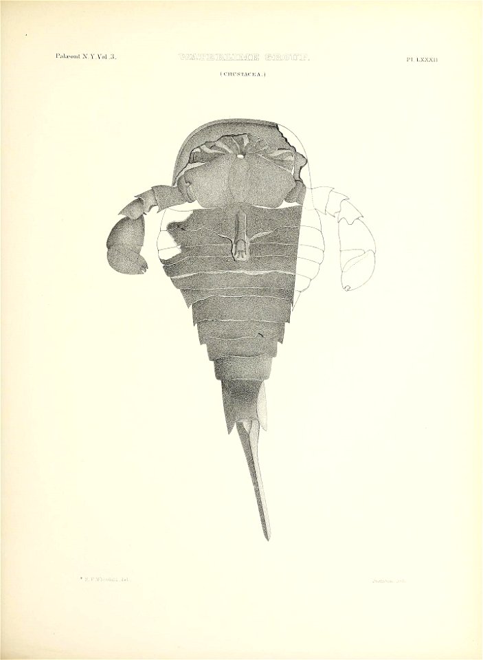 n390_w1150